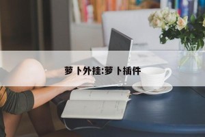 萝卜外挂:萝卜插件